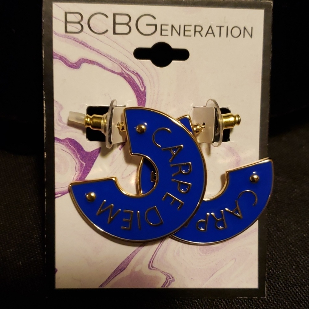 Ladies earrings